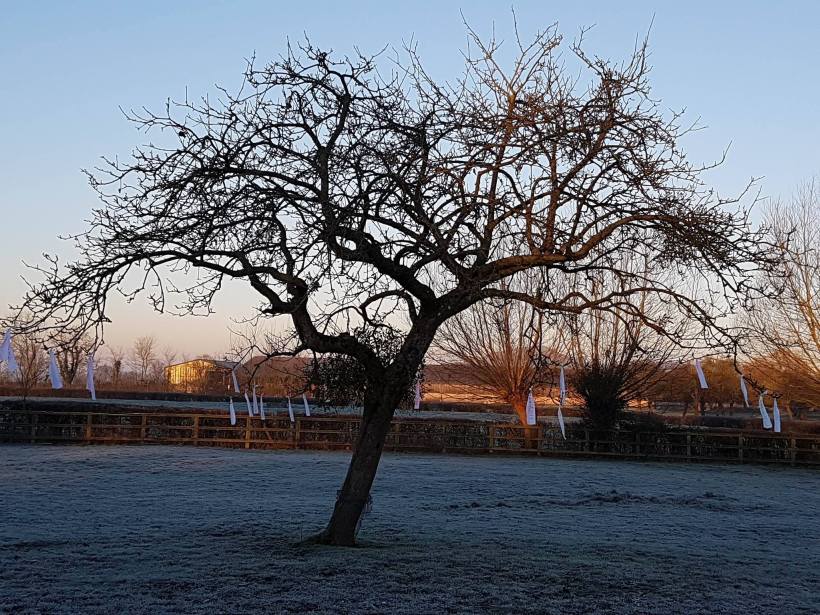 painted horse well being Paintedhorse Equine Therapy Young Offenders LEAP Glastonbury Portland prison Livvy Adams