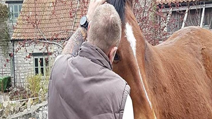 Paintedhorse Help for Heros Horses for heros Glasonbury Juniper Natural Therapies