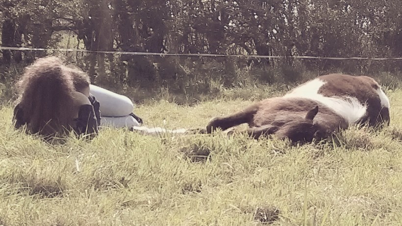 Paintedhorse Anxiety Young Person Equine Therapy EFL LEAP