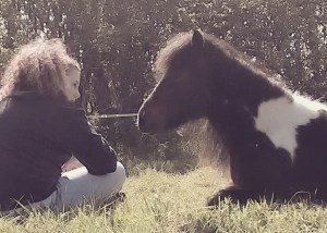 aniety low moods equine therapy EFL LEAP counselling paintedhorse glastonbury