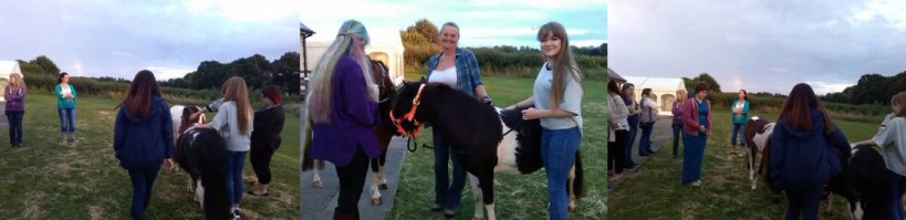 Ilminster Positive Living Group, Paintedhorse, Equine Therapy, ReWilding, LEAP
