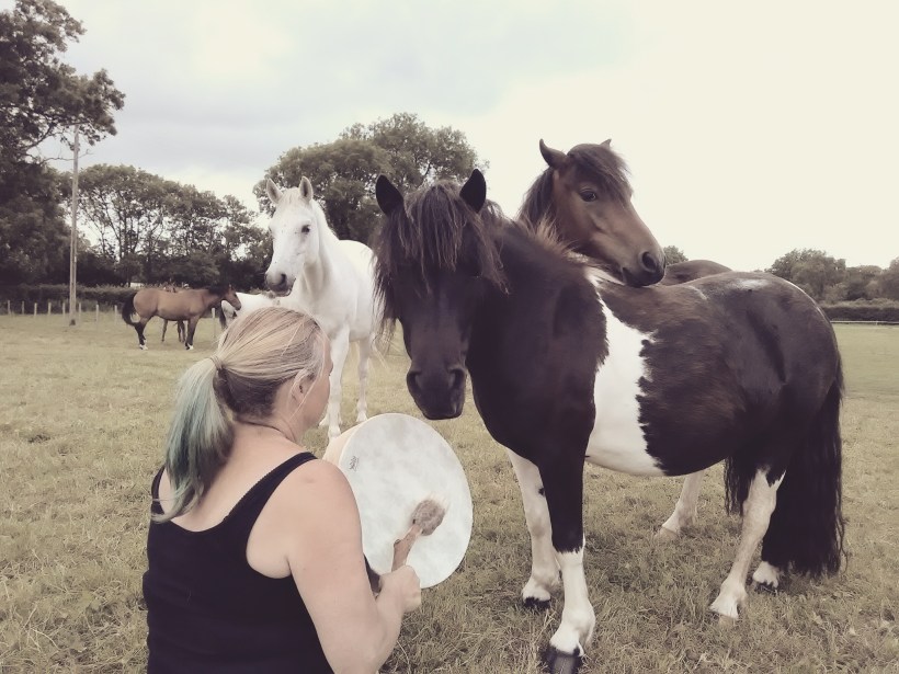 Equine therapy somerset Livvy Adams Paintedhorse George McBurney claire ryall the healing herd