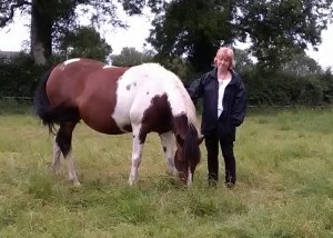 Equine ReWilding, Paintedhorse, EFL, EAL, EFP, Equine Therapy, Healing Herd