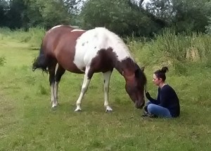 Equine ReWilding, Paintedhorse, EFL, EAL, EFP, Equine Therapy, Healing Herd