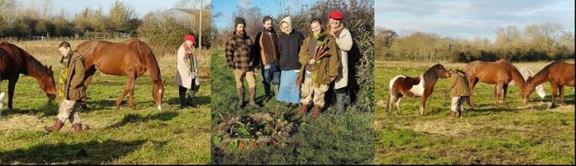 Equine ReWilding, EFL, EFP, Equine Therapy, Somerset, Paintedhorse