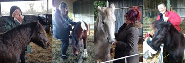 Paintedhorse, equine therapy, rewilding, EFL, EFP, CPCAB