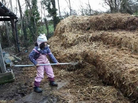 Volunteer work, Paintedhorse, Horses, Glastonbury. Equine Therapy